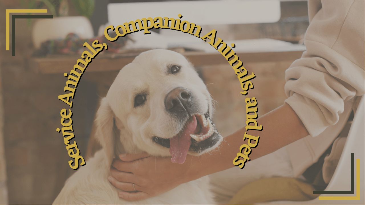Service Animals, Companion Animals, and Pets | A Guide for Atlanta Landlords